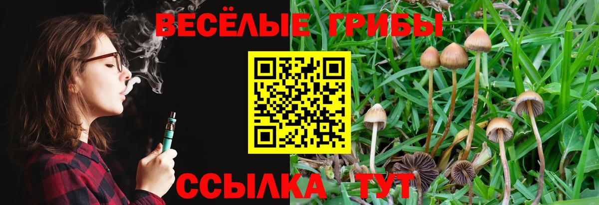 Барабинск  Галлюциногенные грибы Psilocybe  Вход с VPN 
